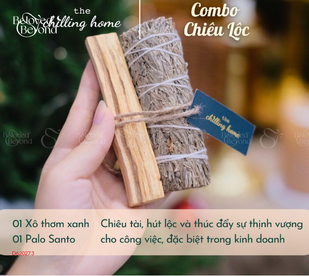 Combo Chiêu Lộc (Xô Thơm Xanh & Gỗ Trắc Xanh) - belovedbeyond.com