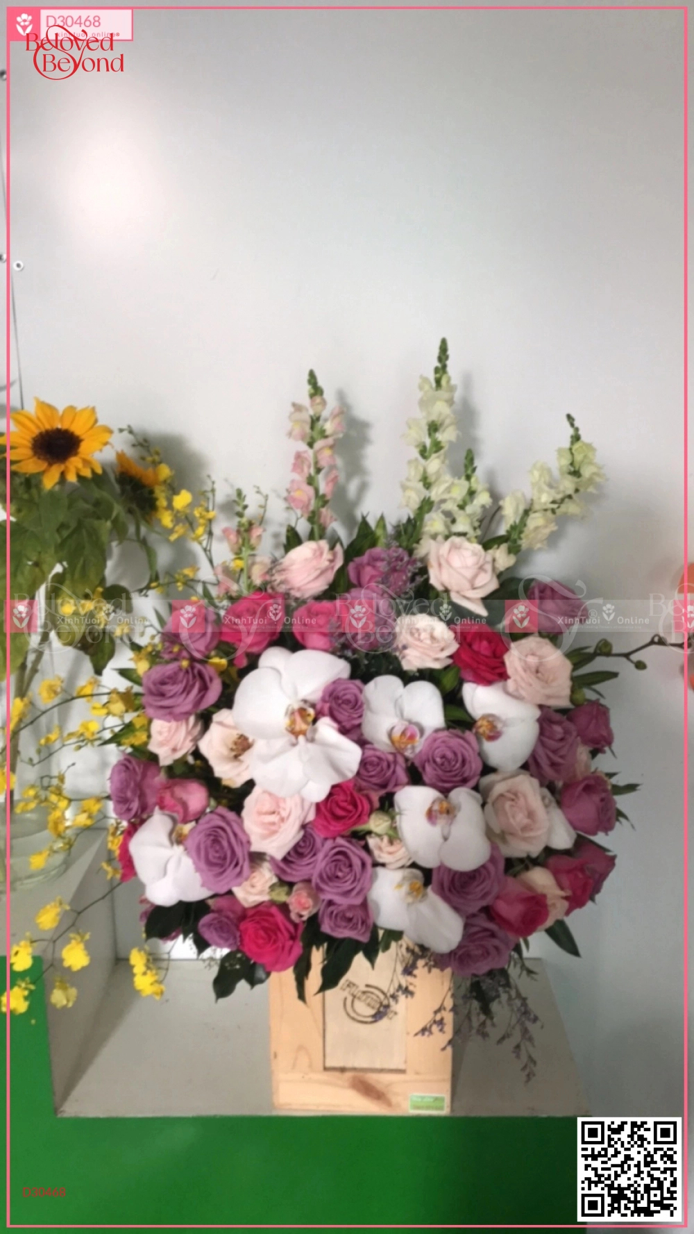 Hy Vọng - belovedbeyond.com