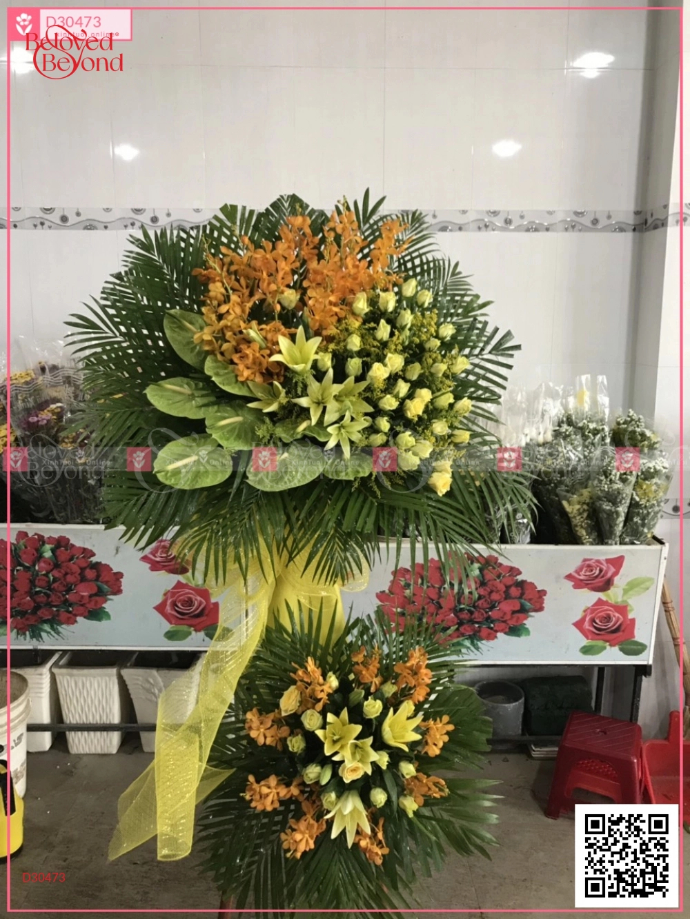 Vươn Xa - belovedbeyond.com