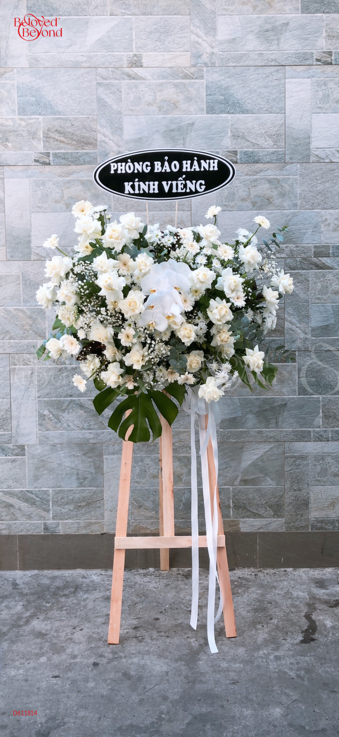 D611814 - belovedbeyond.com