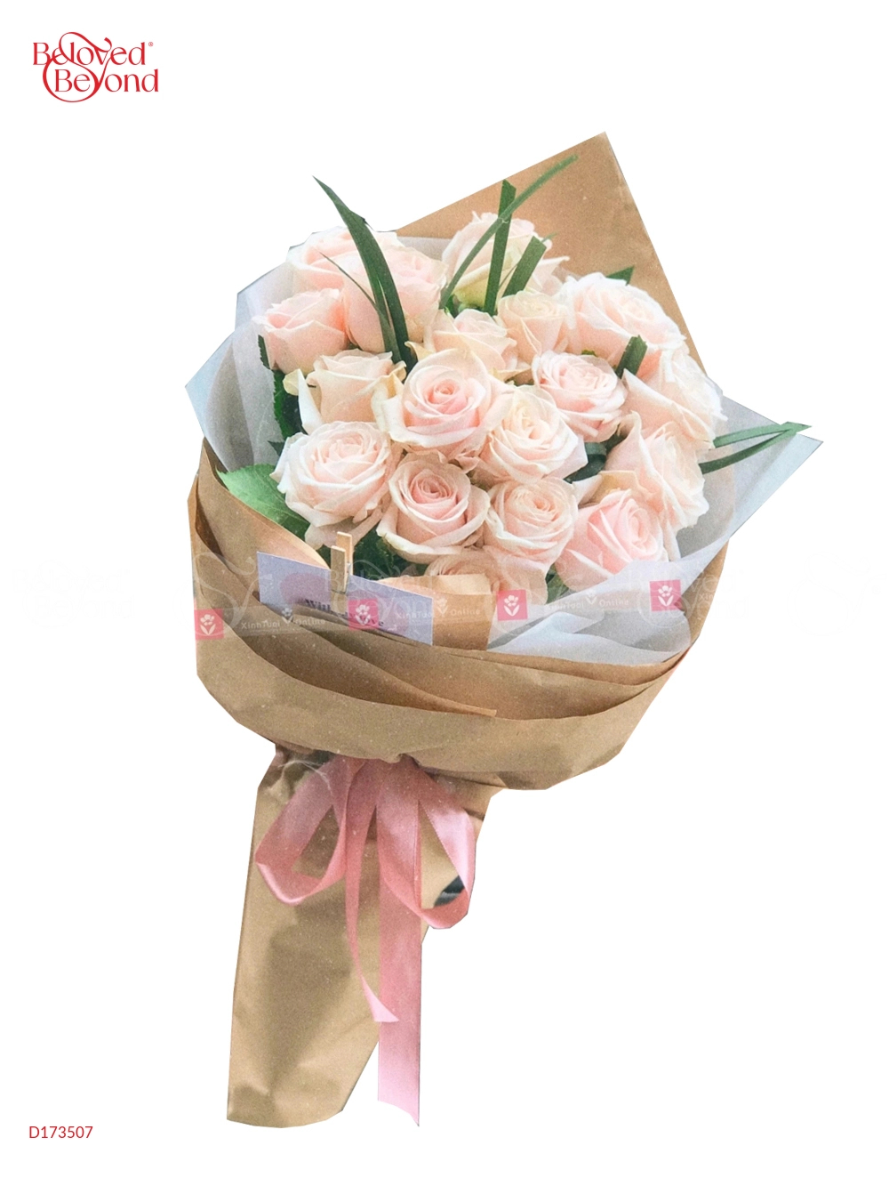 Ốc Quế Tình Yêu - belovedbeyond.com