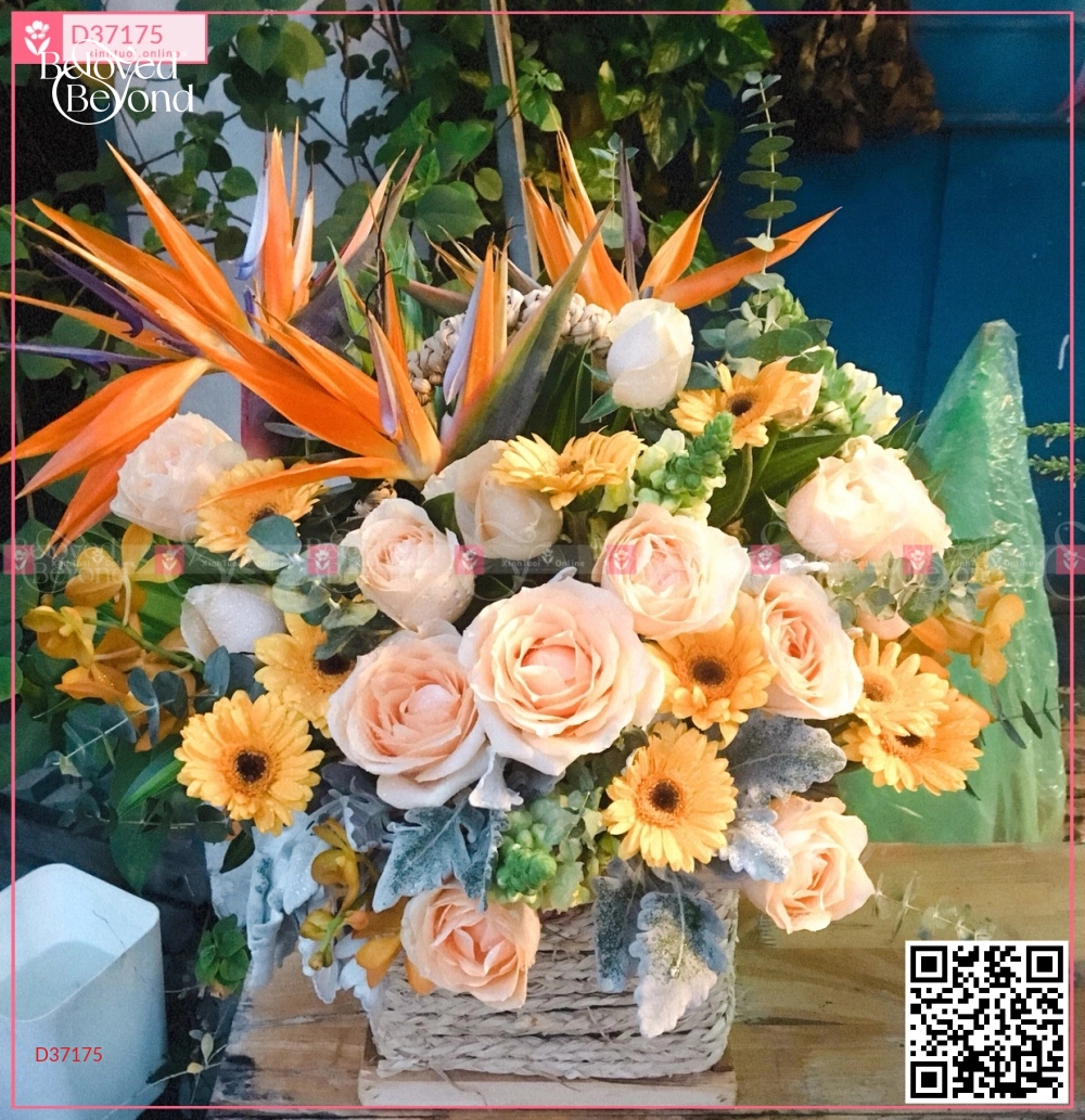 Lẵng Hoa Chúc Mừng - belovedbeyond.com