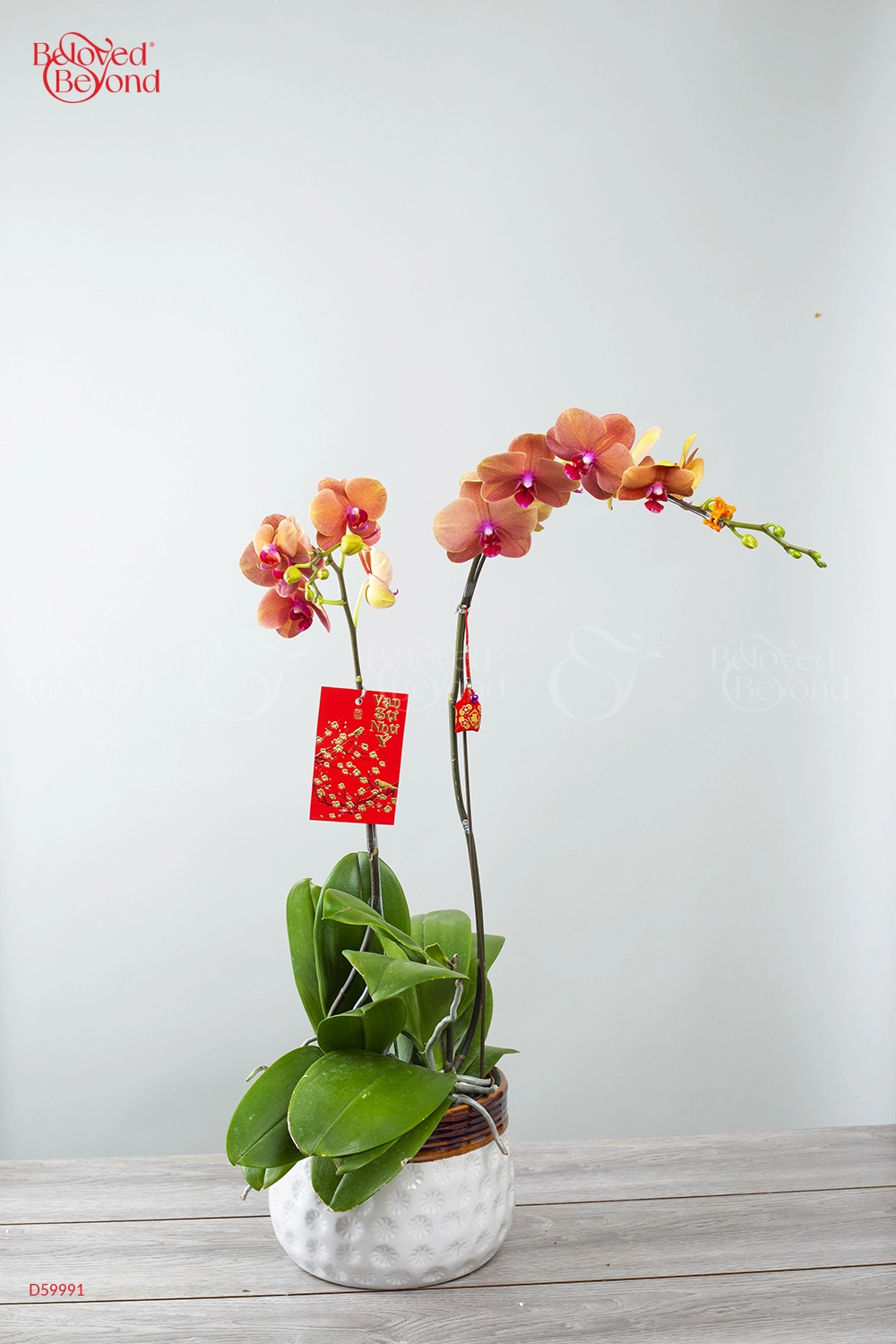 Như Ý Cát Tường - belovedbeyond.com