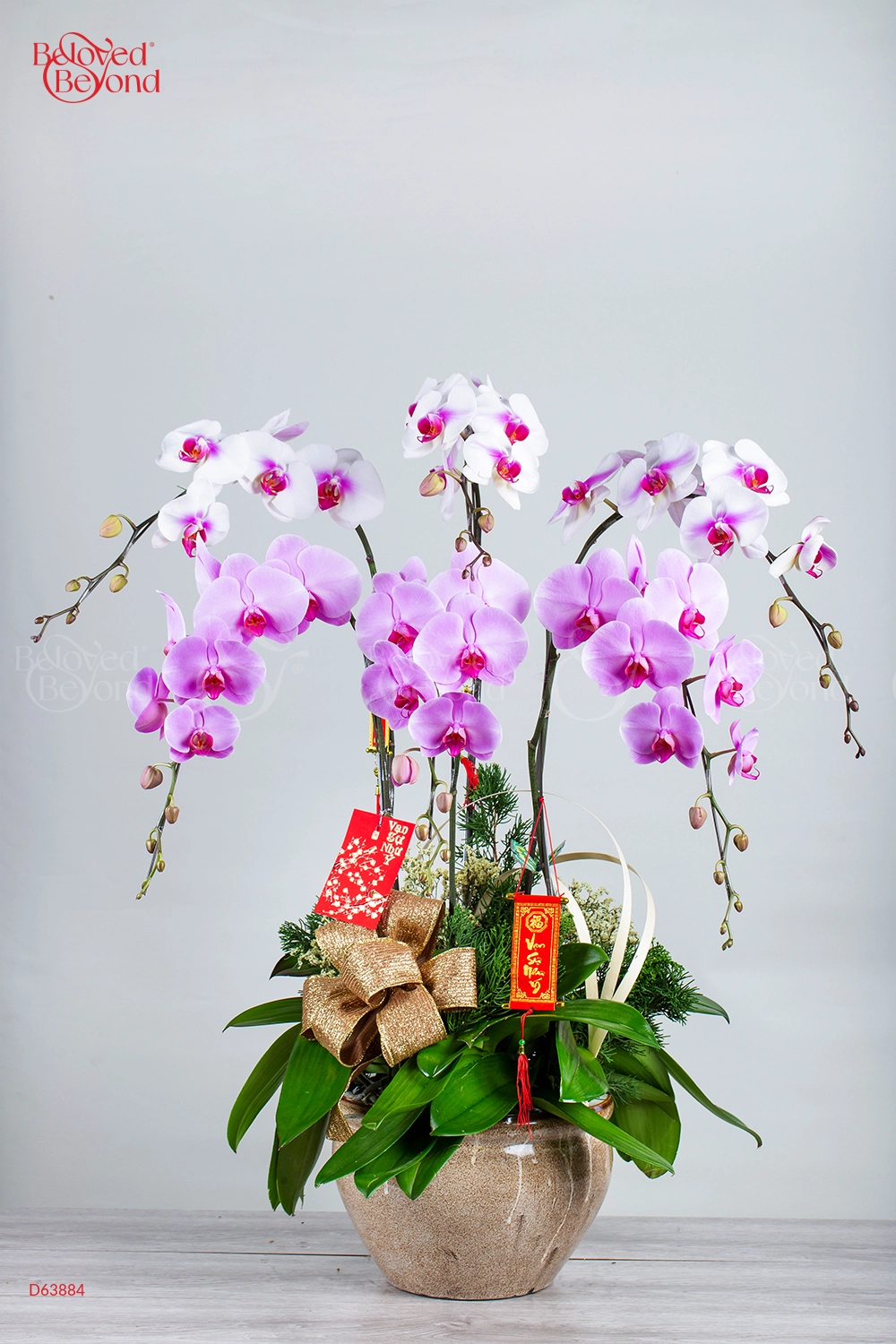 Trọn Niềm Vui - belovedbeyond.com