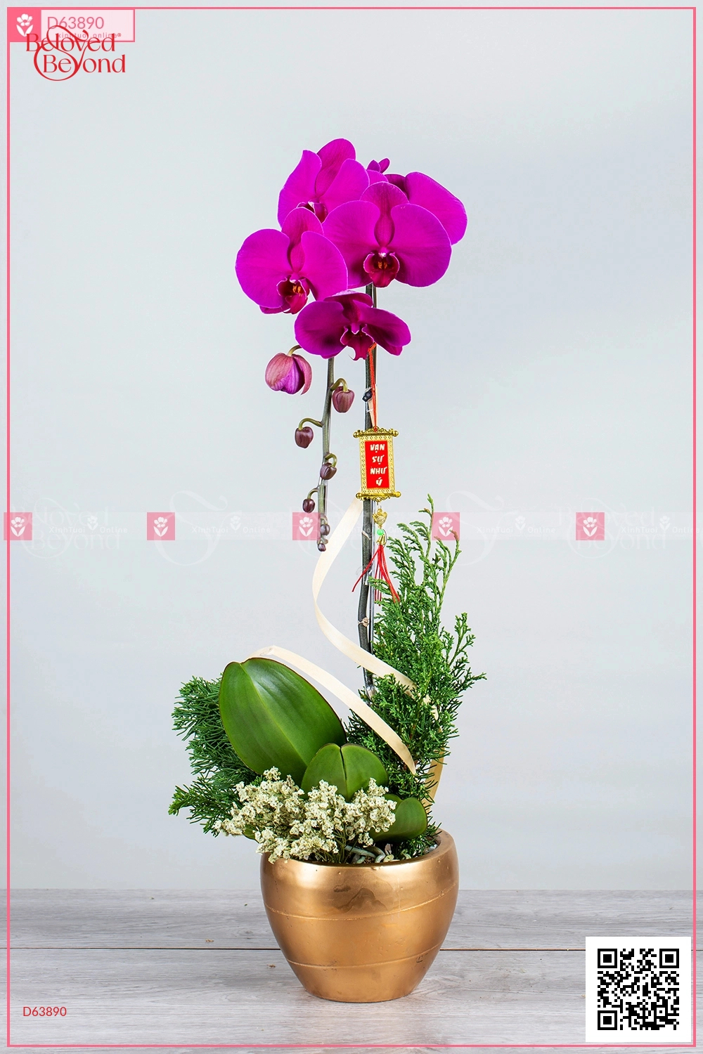 Tết Sum Vầy - belovedbeyond.com