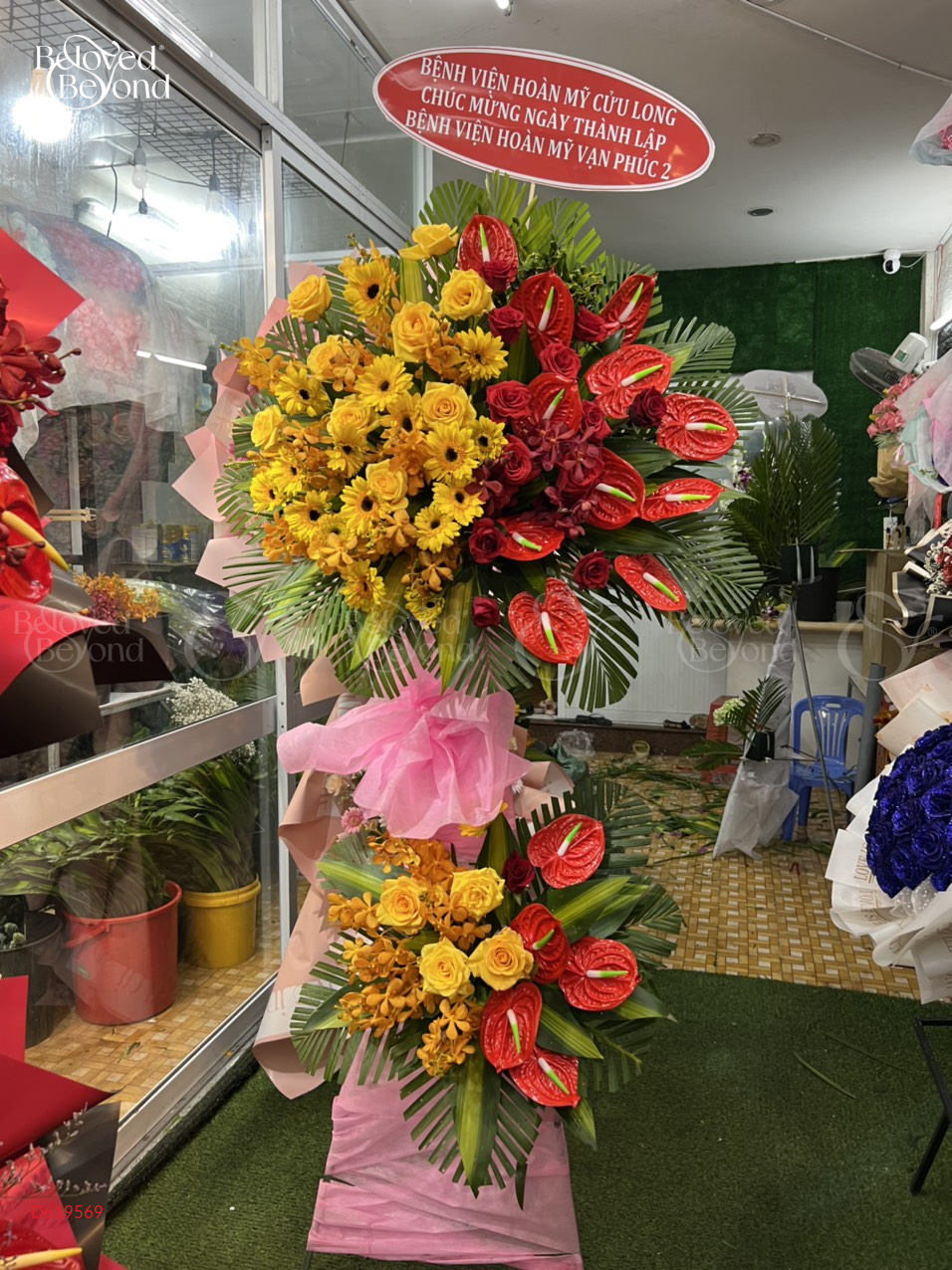 Kệ Chúc Mừng - belovedbeyond.com